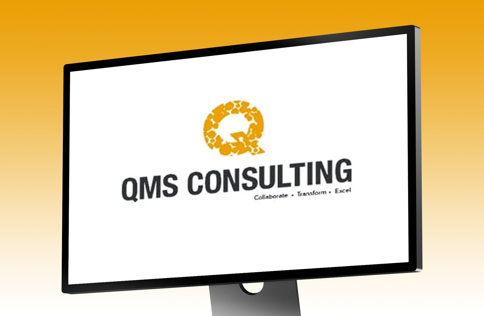 Qms Consulting